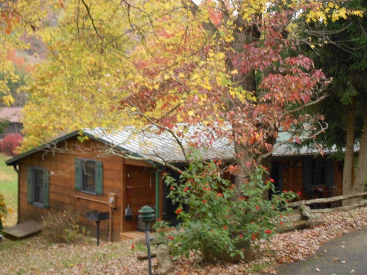 Mountain Springs Cabins Candler Exterior photo