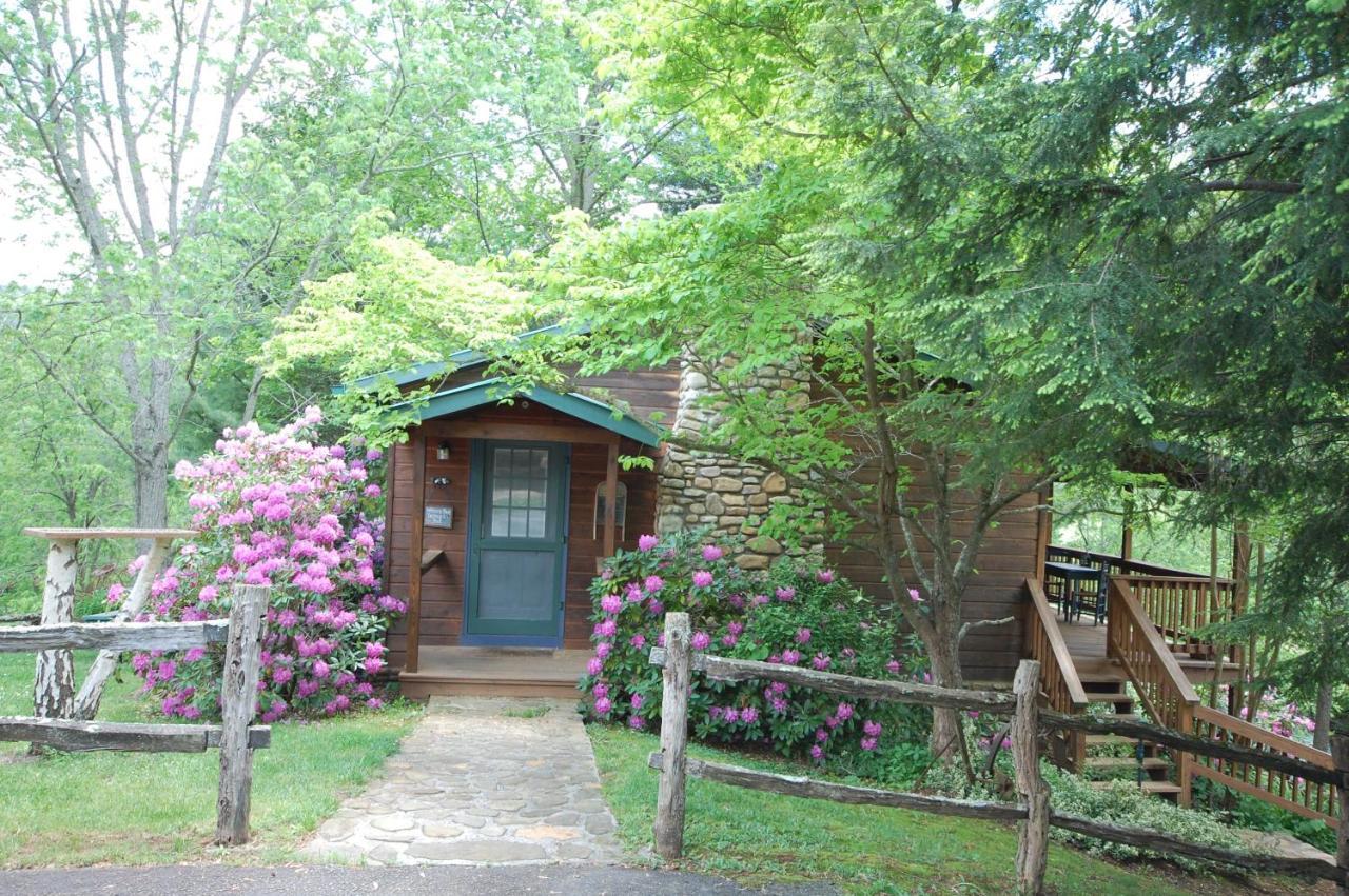 Mountain Springs Cabins Candler Exterior photo