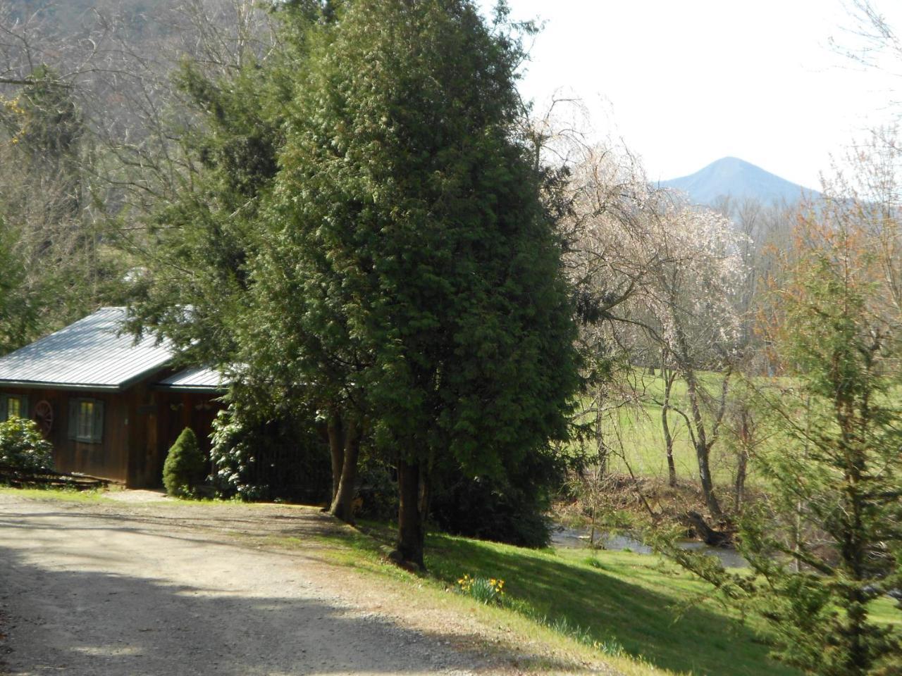 Mountain Springs Cabins Candler Exterior photo