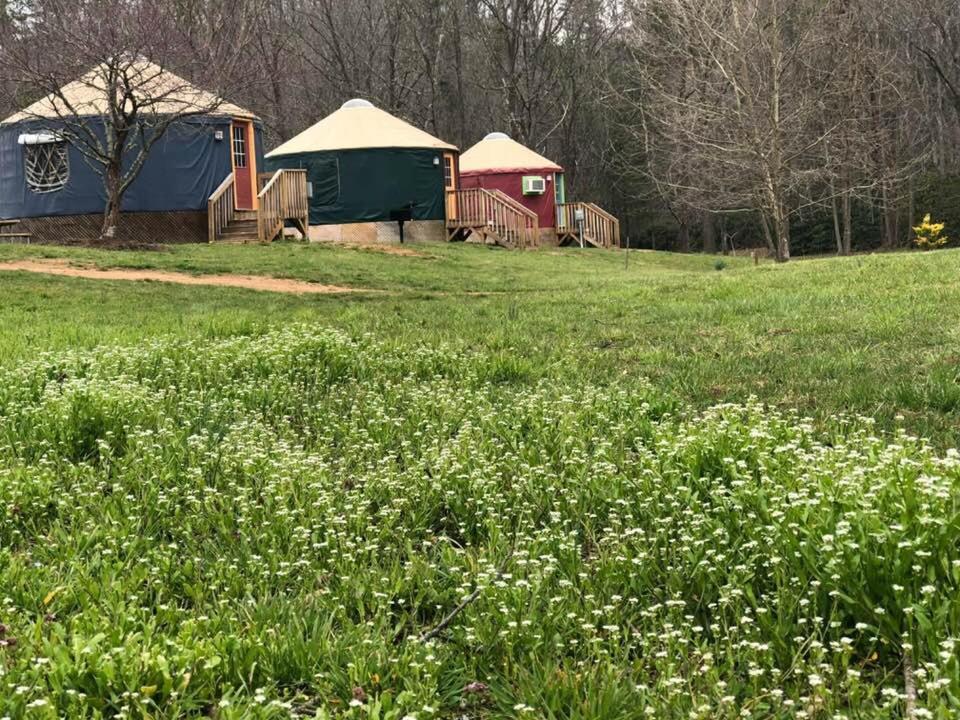 Mountain Springs Cabins Candler Exterior photo